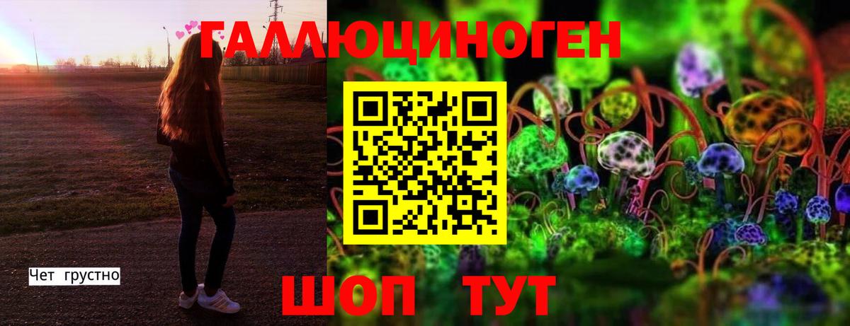 Галлюциногенные грибы Psilocybe  Вход с VPN  Тара 